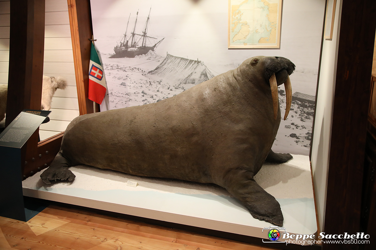 VBS_0926 - Riapre il Museo di Scienze Naturali dopo dieci anni di chiusura.jpg